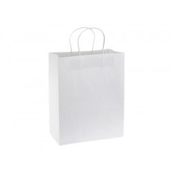 Bolsa de Papel 120g/m2