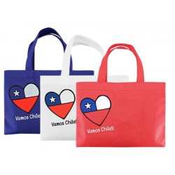 Bolsa TNT Vamos Chile